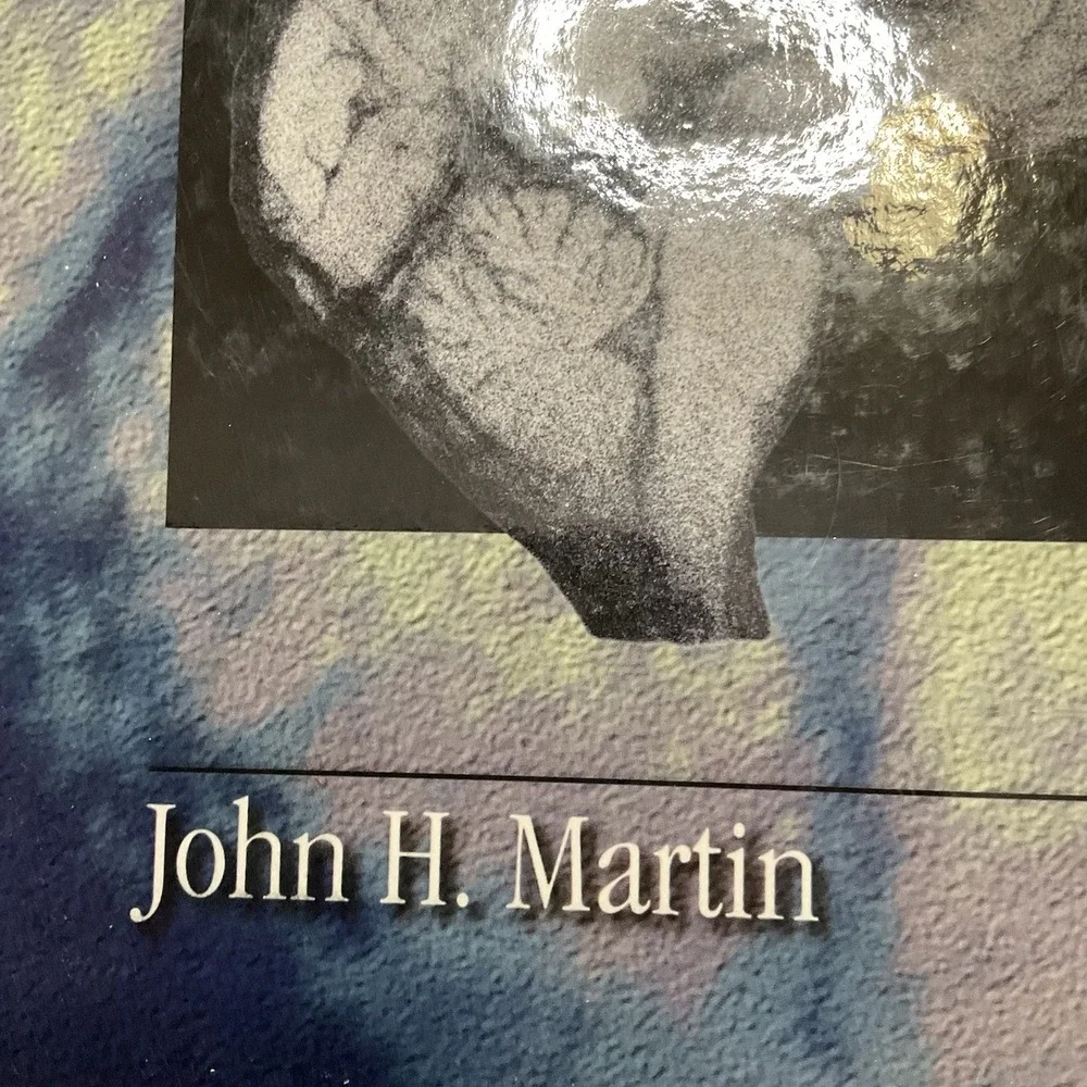 Neuroanatomy Atlas John H. Martin Text‎ And Atlas Second Edition
